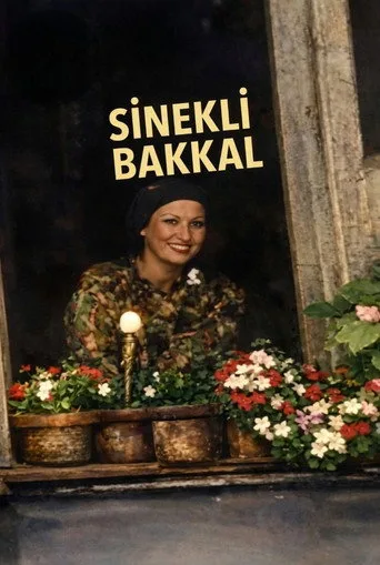 Sinekli Bakkal 1. sezon posteri