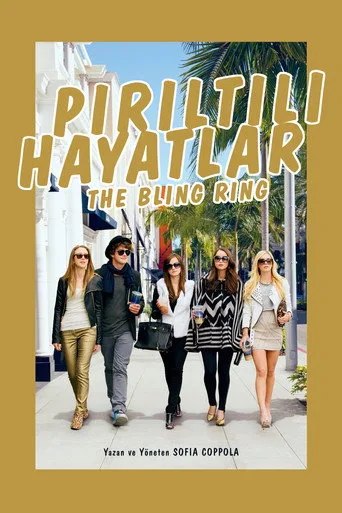 Pırıltılı Hayatlar (2013) posteri