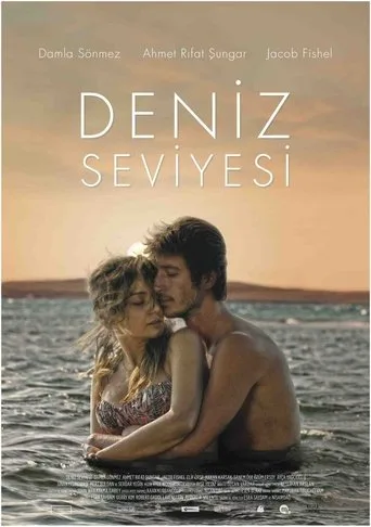 Deniz Seviyesi (2014) posteri