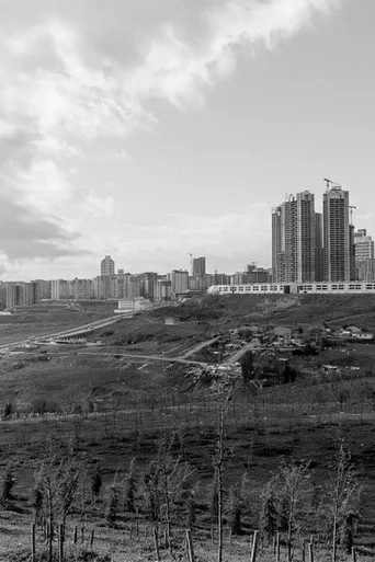 Silivri'den Mektuplar (2020) posteri