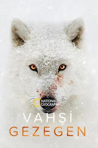Vahşi Gezegen (2019) posteri