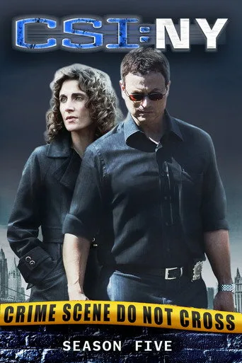 CSI: NY 5. sezon posteri