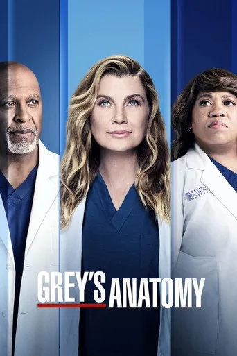 Grey's Anatomy 18. sezon posteri