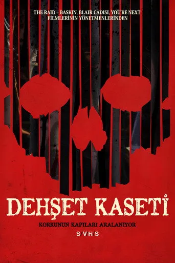Dehşet Kaseti (2013) posteri
