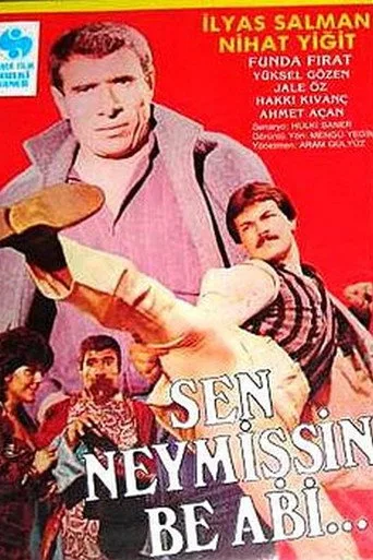 Sen Neymişsin Be Abi (1986) posteri