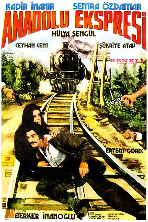 Anadolu Ekspresi film posteri