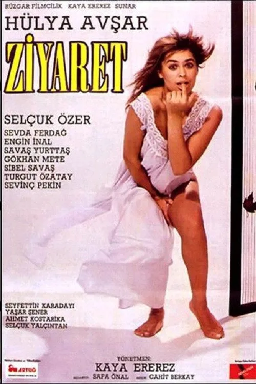 Ziyaret film posteri