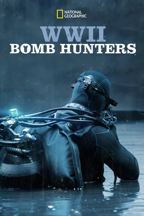 WWII Bomb Hunters film posteri