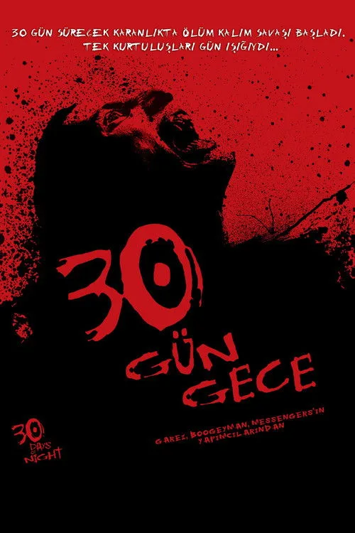30 Gün Gece film posteri