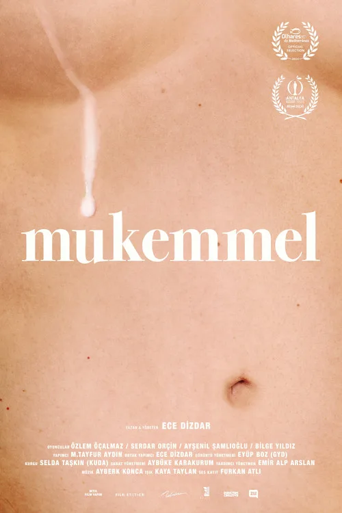 Mükemmel film posteri