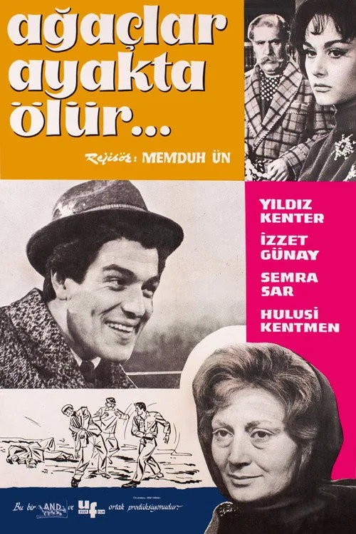 Ağaçlar Ayakta Ölür film posteri