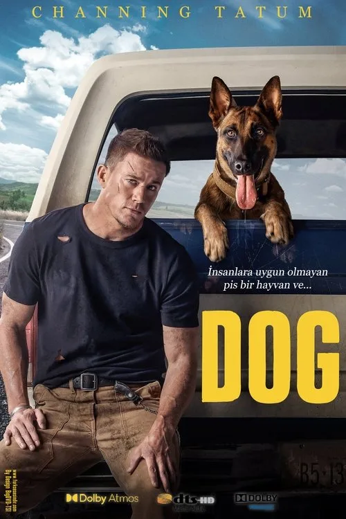 Köpek film posteri