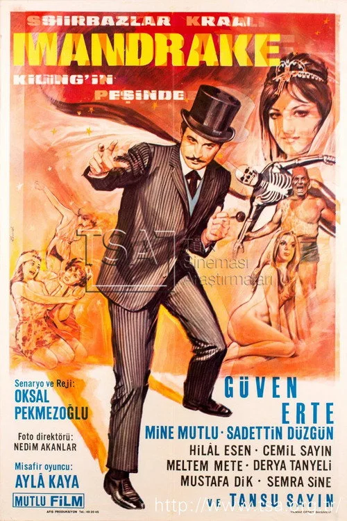 Sihirbazlar Kralı Mandrake Killing'in Peşinde film posteri