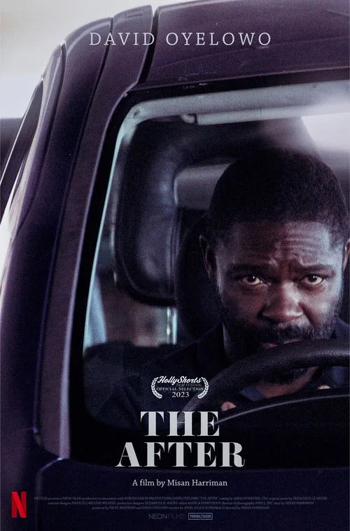 Bir Kucak Hüzün film posteri