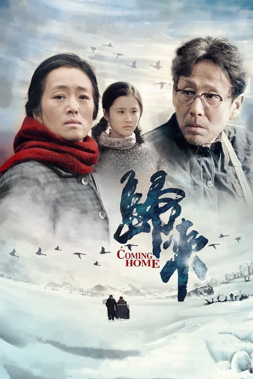 Yuvaya Dönüş film posteri