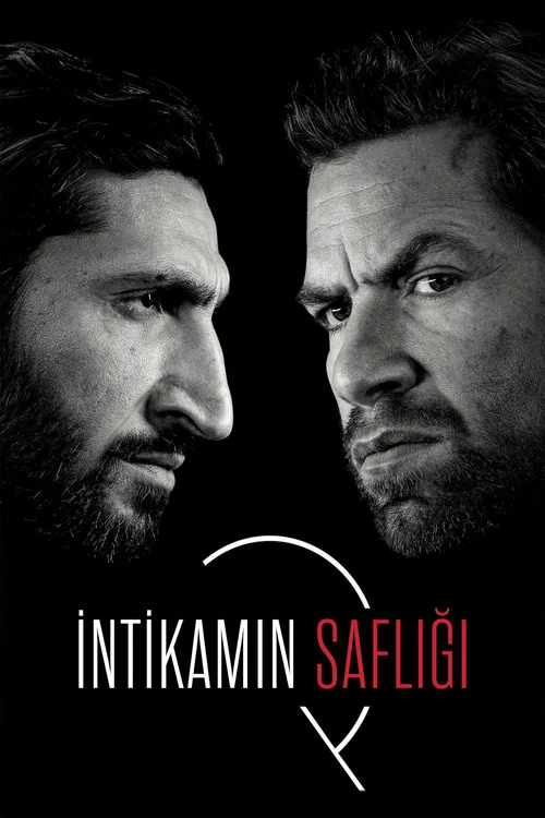 İntikamın Saflığı film posteri