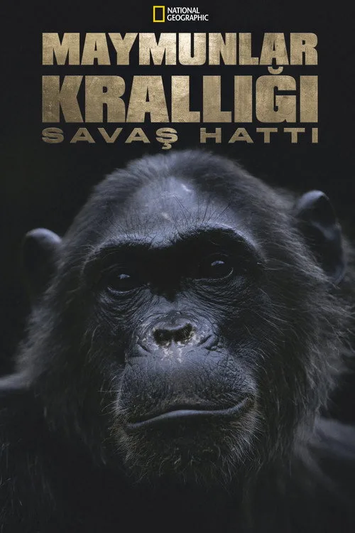 Maymunlar Krallığı: Savaş Hattı film posteri