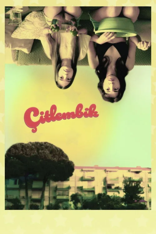 Çitlembik film posteri