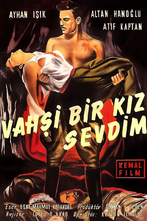 Vahşi Bir Kız Sevdim film posteri
