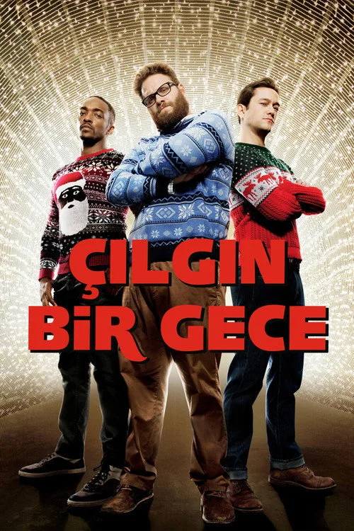 Çılgın Bir Gece film posteri