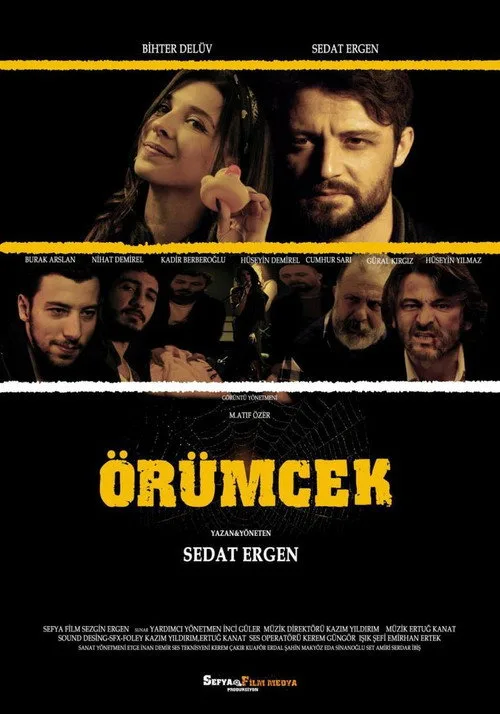 Örümcek film posteri