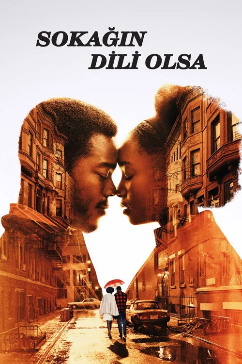 Sokağın Dili Olsa film posteri