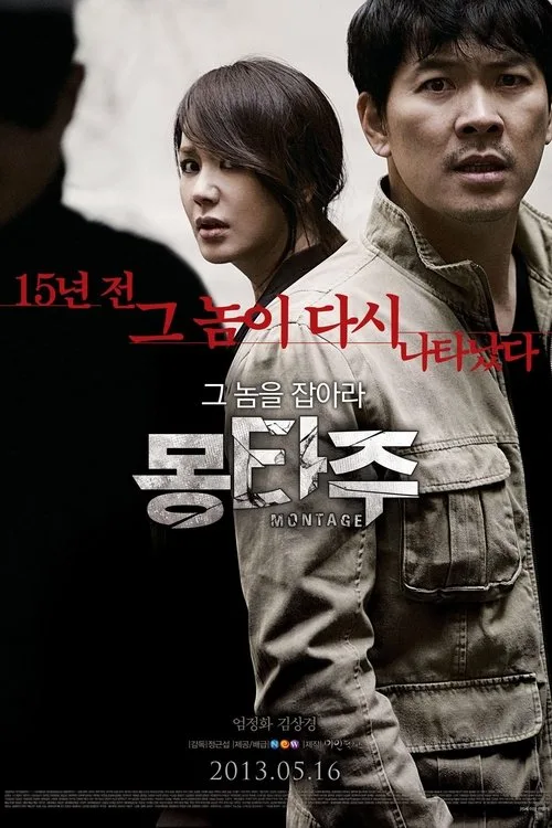 Montaj film posteri