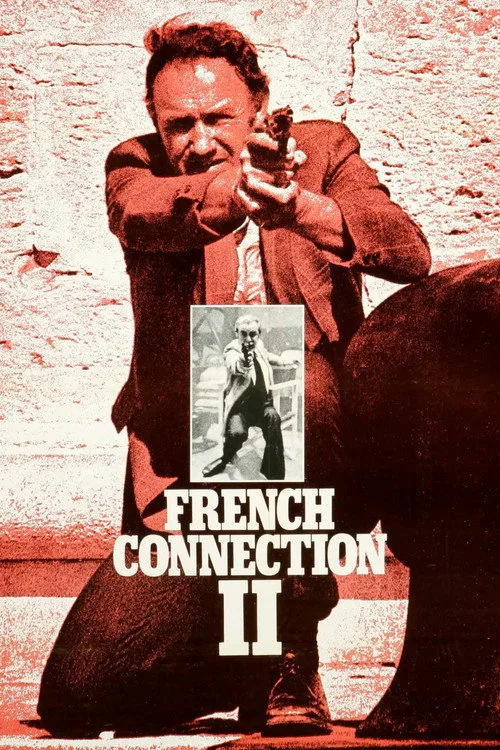 Kanunun Kuvveti II film posteri