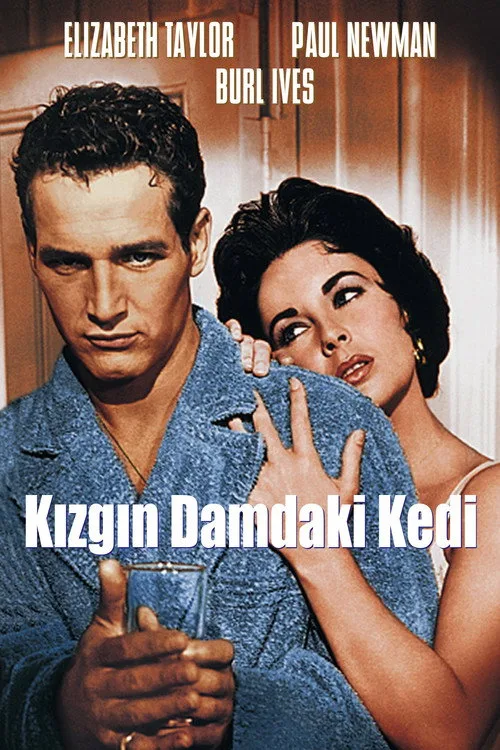Kızgın Damdaki Kedi film posteri