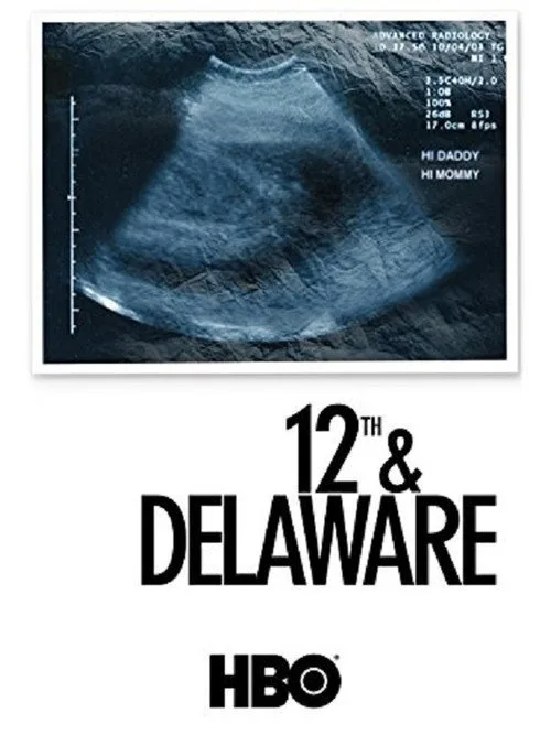 12th & Delaware film posteri