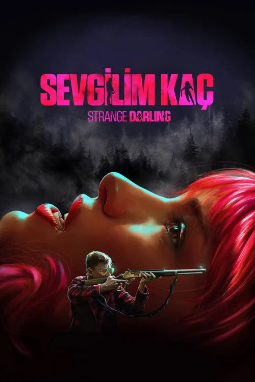 Sevgilim Kaç film posteri