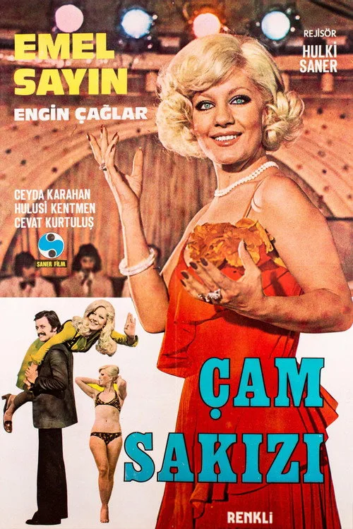 Çam Sakızı film posteri