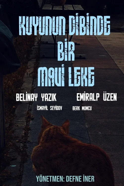 Kuyunun Dibinde Bir Mavi Leke film posteri