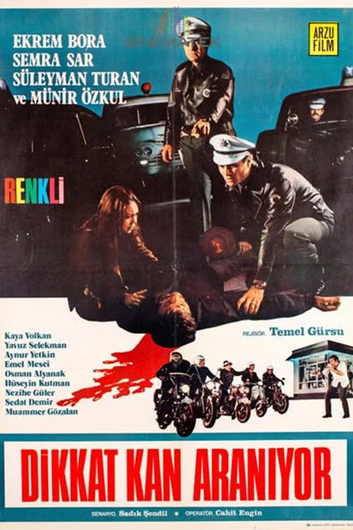 Dikkat Kan Aranıyor film posteri