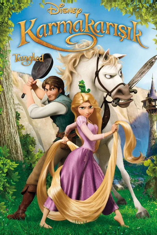 Karmakarışık film posteri