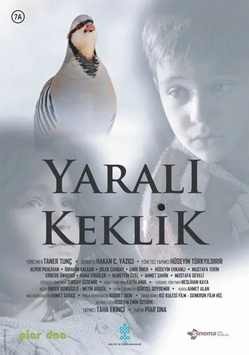 Yaralı Keklik film posteri