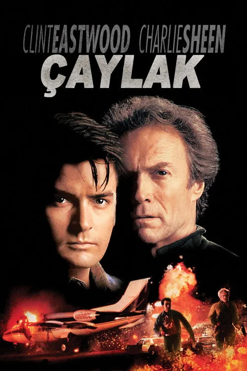 Çaylak film posteri