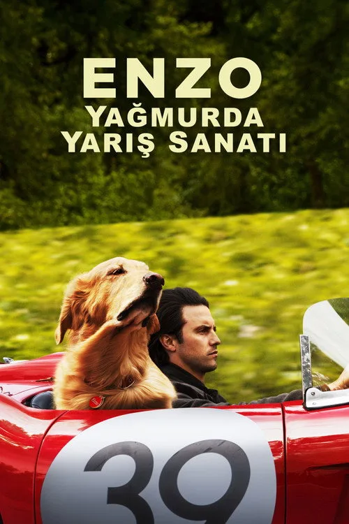 Enzo: Yağmurda Yarış Sanatı film posteri