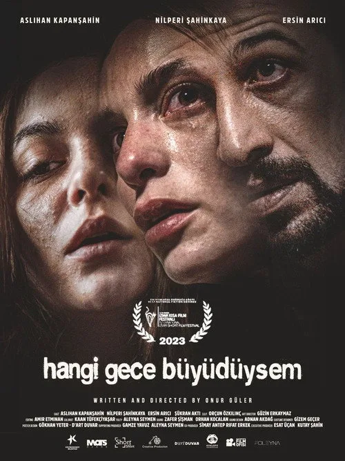 Hangi Gece Büyüdüysem film posteri