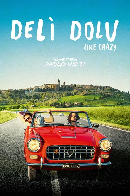 Deli Dolu film posteri