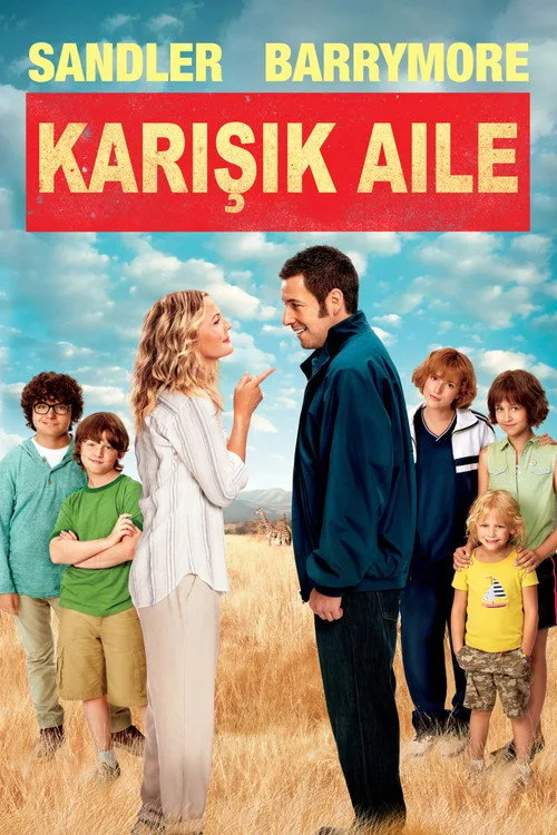 Karışık Aile film posteri