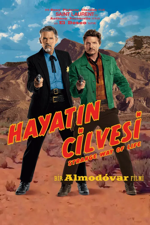 Hayatın Cilvesi film posteri