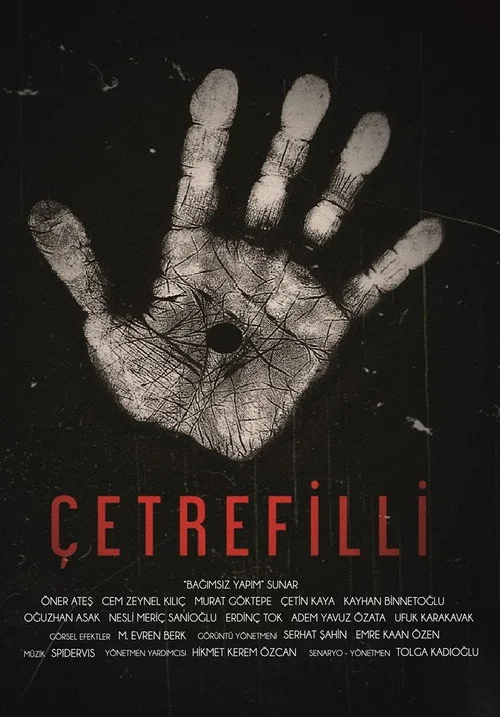 Çetrefilli film posteri