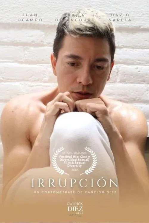 Irrupción film posteri