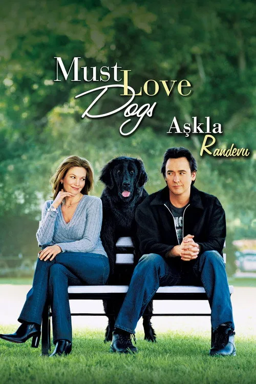 Aşkla Randevu film posteri