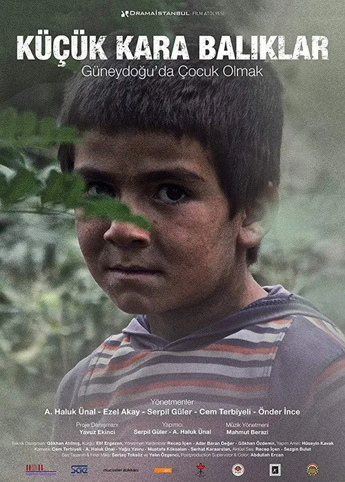 Küçük Kara Balıklar - Güneydoğuda Çocuk Olmak film posteri