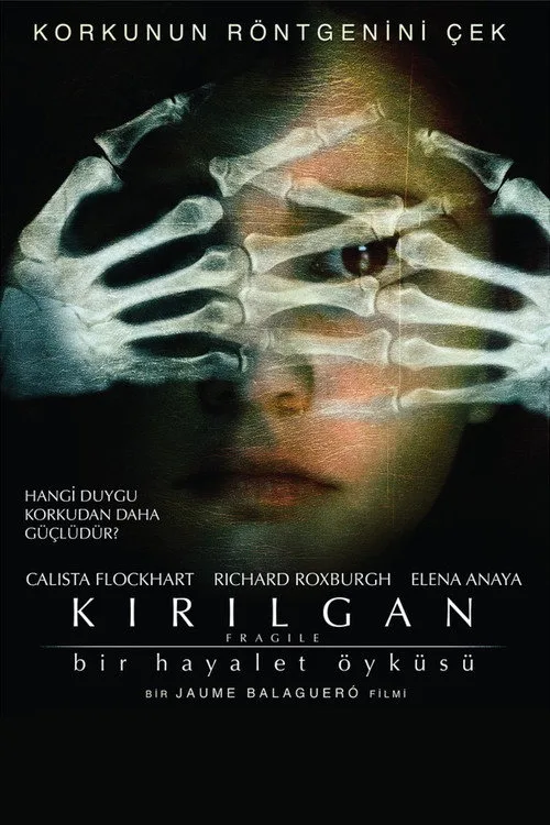 Kırılgan film posteri