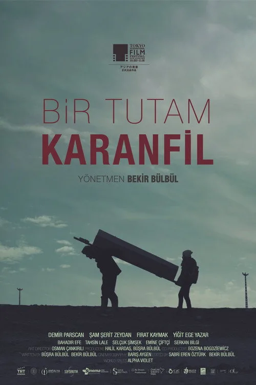 Bir Tutam Karanfil film posteri
