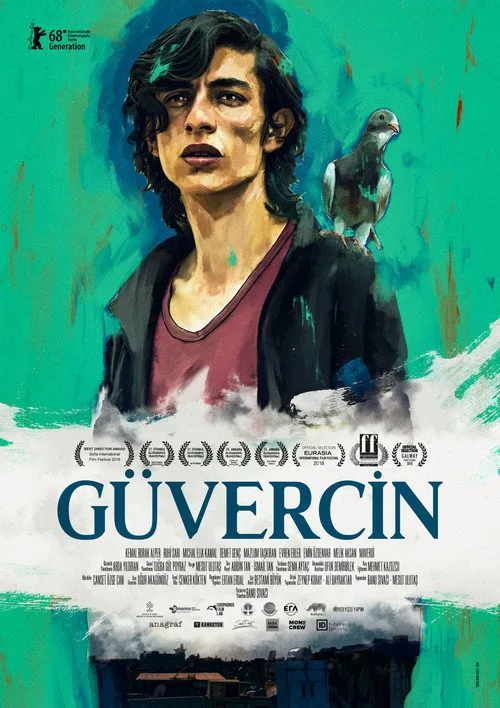 Güvercin film posteri