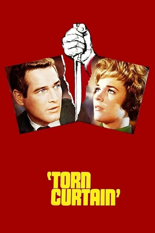 Esrar Perdesi film posteri
